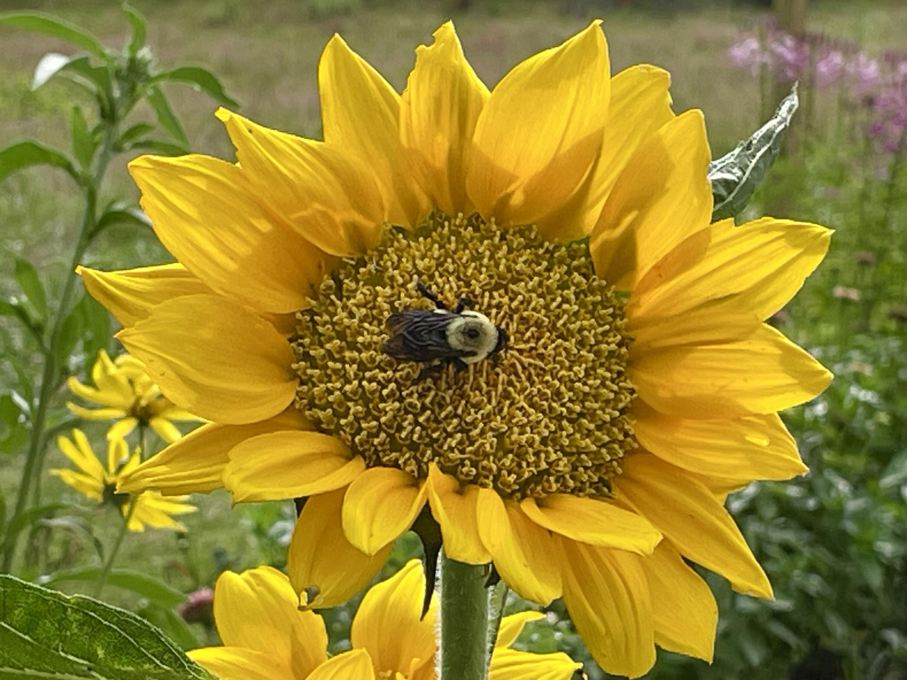 2208 Poe Road Soddy Daisy, TN 37379 - Photo 33 of 64 IMG_0901