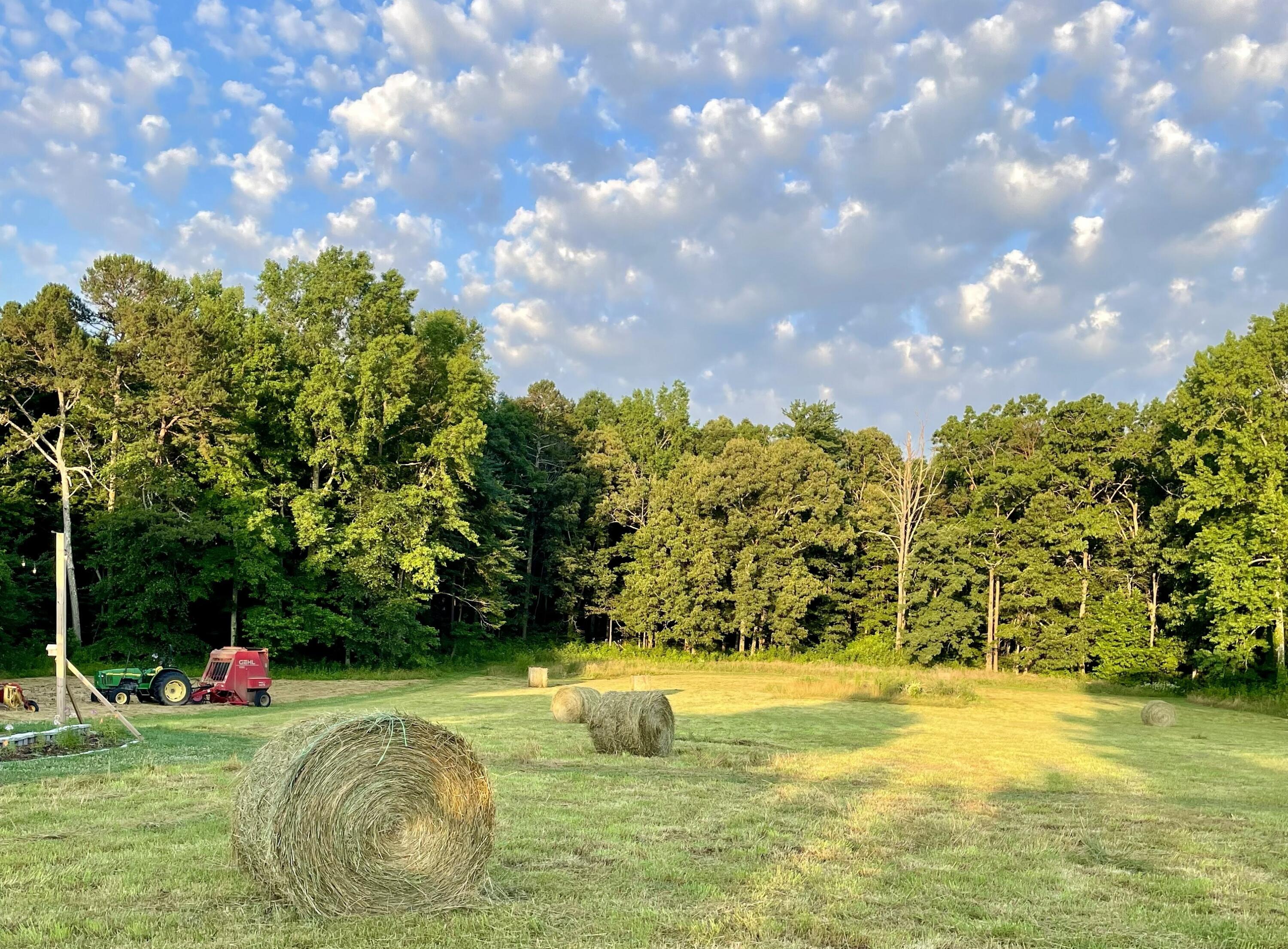 2208 Poe Road Soddy Daisy, TN 37379 - Photo 35 of 64 IMG_1710
