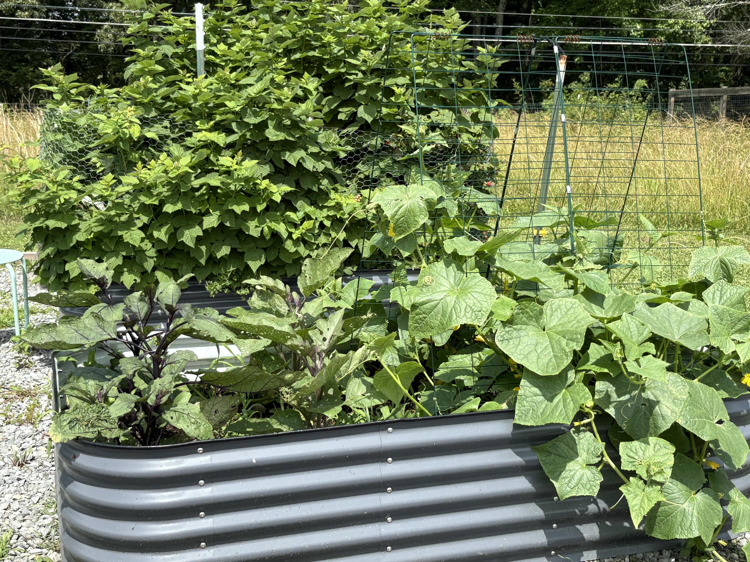 2208 Poe Road Soddy Daisy, TN 37379 - Photo 39 of 64 IMG_2134