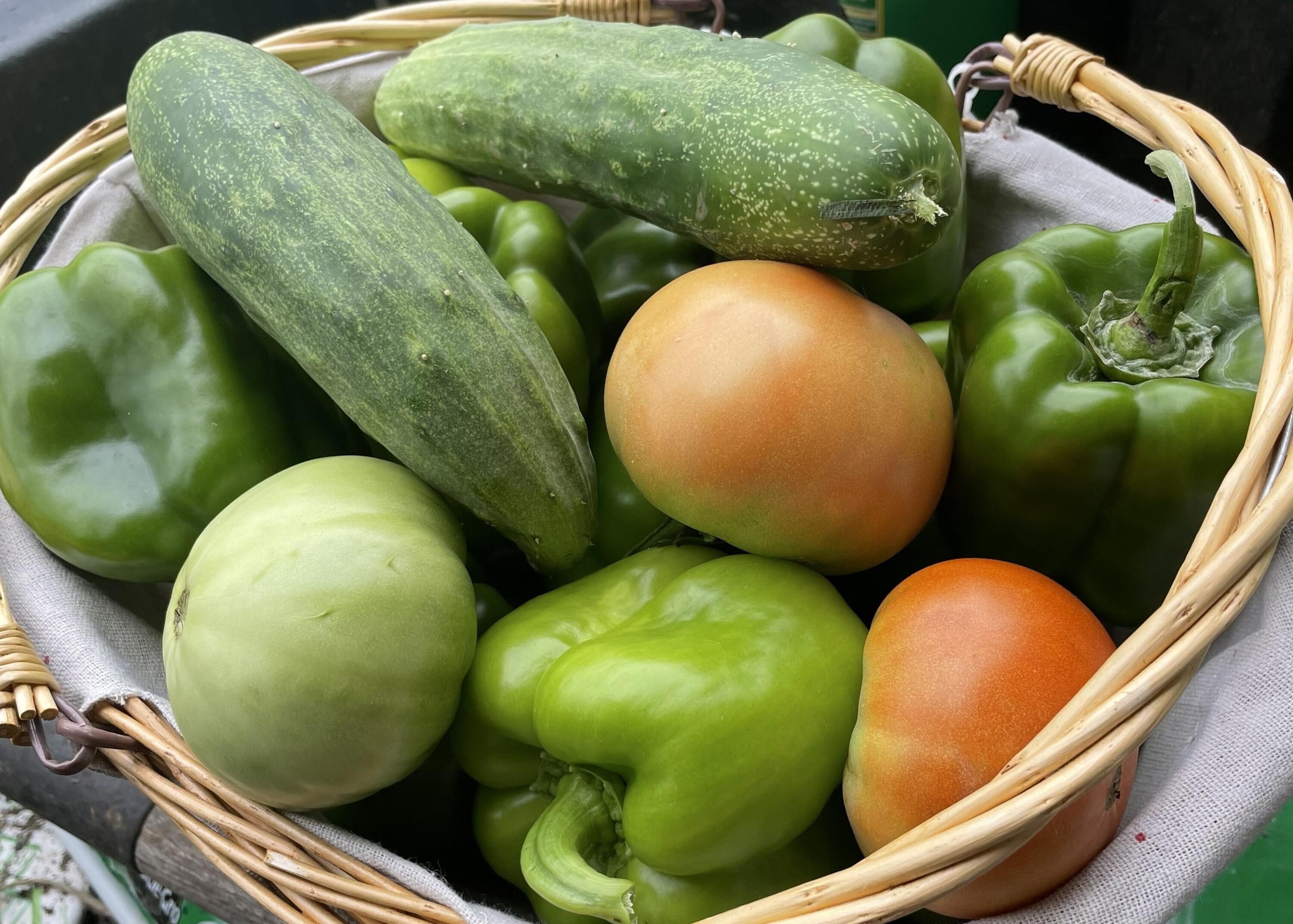 2208 Poe Road Soddy Daisy, TN 37379 - Photo 41 of 64 IMG_2623