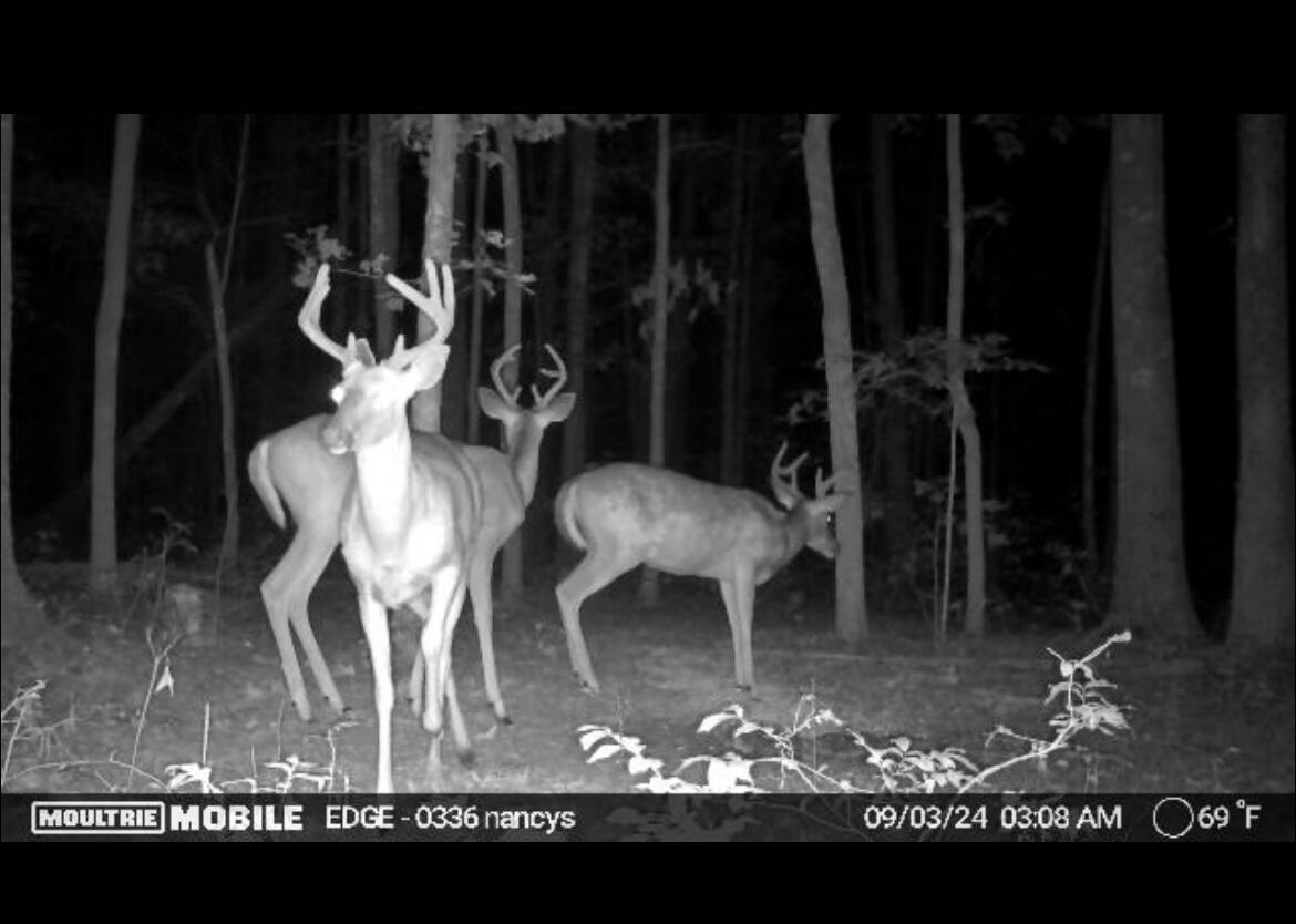 2208 Poe Road Soddy Daisy, TN 37379 - Photo 51 of 64 IMG_3893