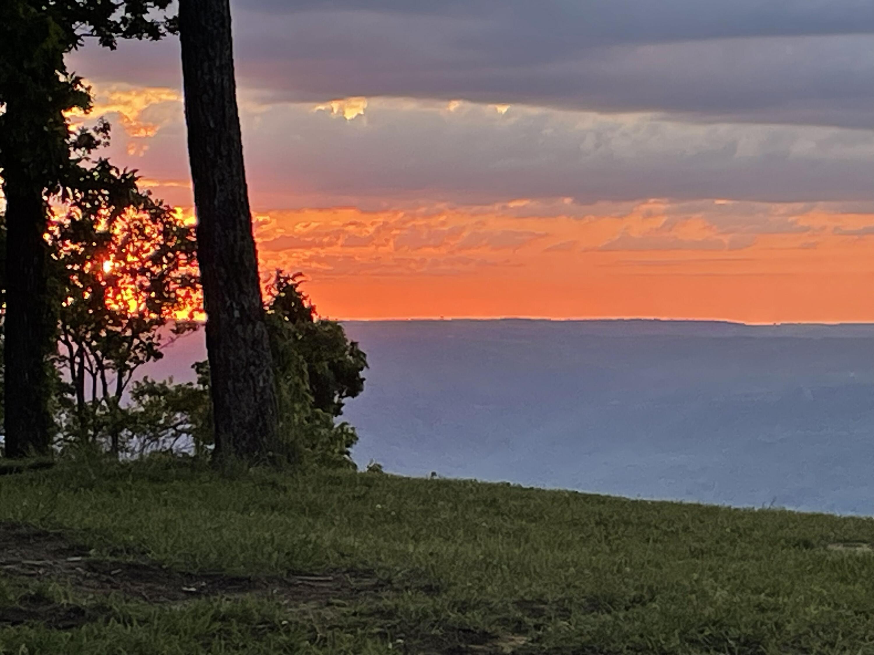 2208 Poe Road Soddy Daisy, TN 37379 - Photo 57 of 64 IMG_0471