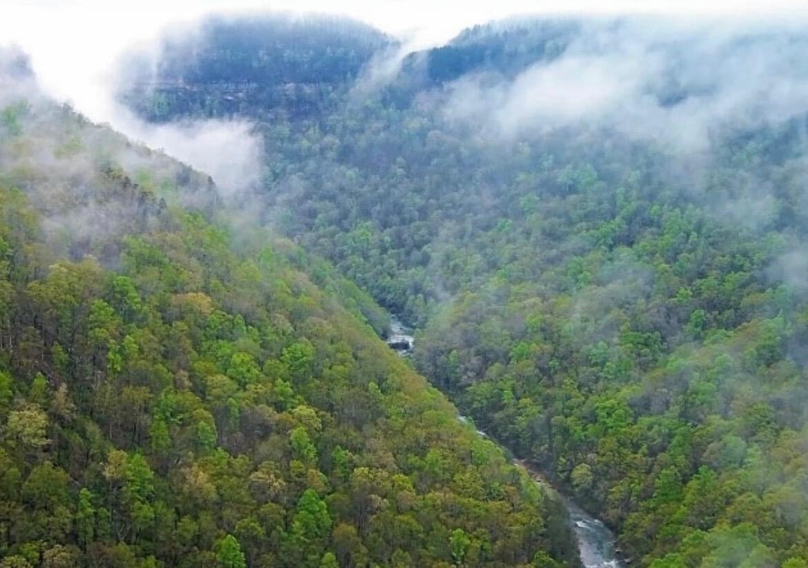 2208 Poe Road Soddy Daisy, TN 37379 - Photo 58 of 64 IMG_6386