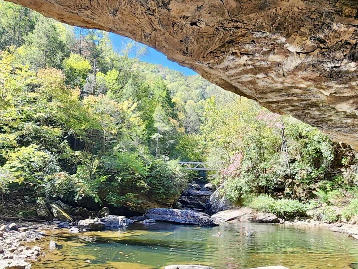 2208 Poe Road Soddy Daisy, TN 37379 - Photo 60 of 64 IMG_6094 (1)