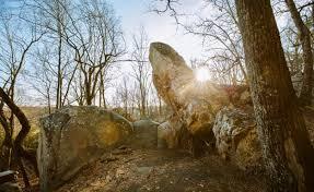 2208 Poe Road Soddy Daisy, TN 37379 - Photo 62 of 64 download