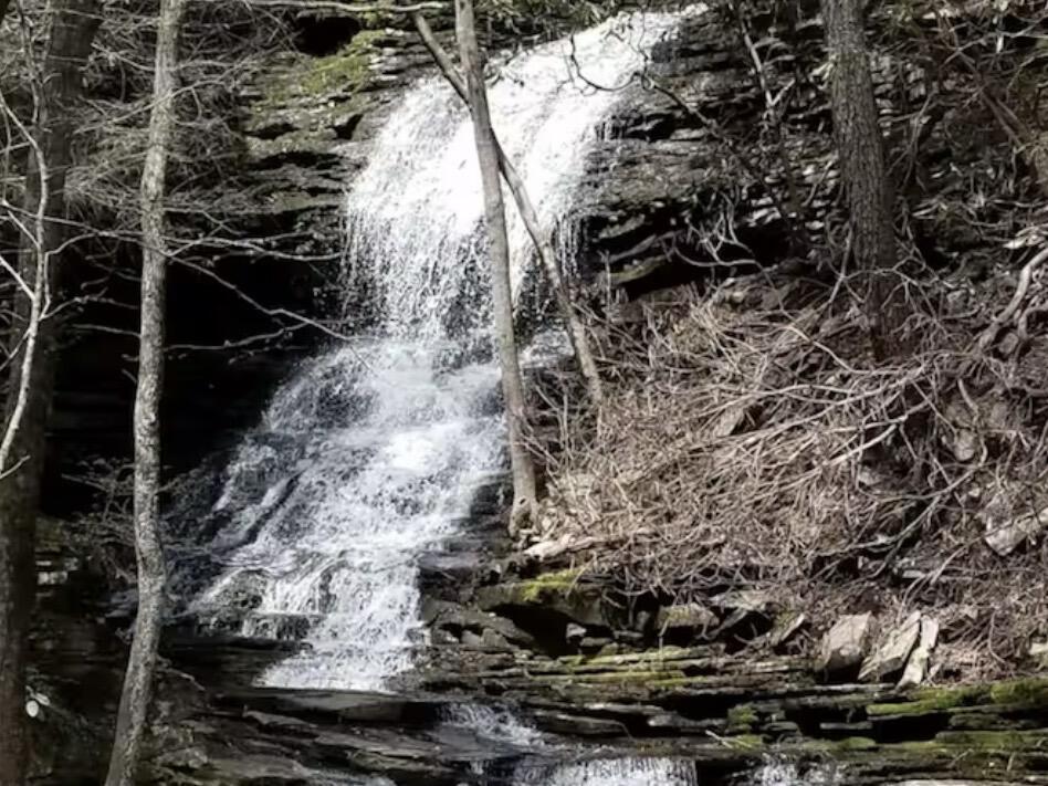 2208 Poe Road Soddy Daisy, TN 37379 - Photo 64 of 64 IMG_9455