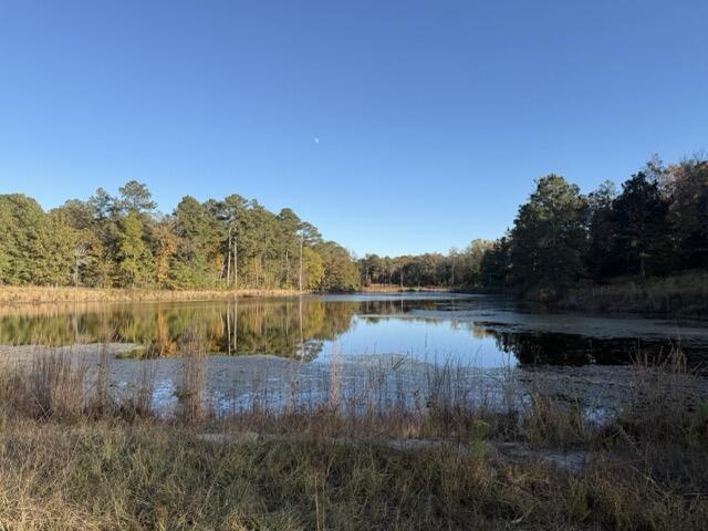 0 Mitchner Road Dearing, GA 30808 - Photo 11 of 11 IMG_3159 Medium