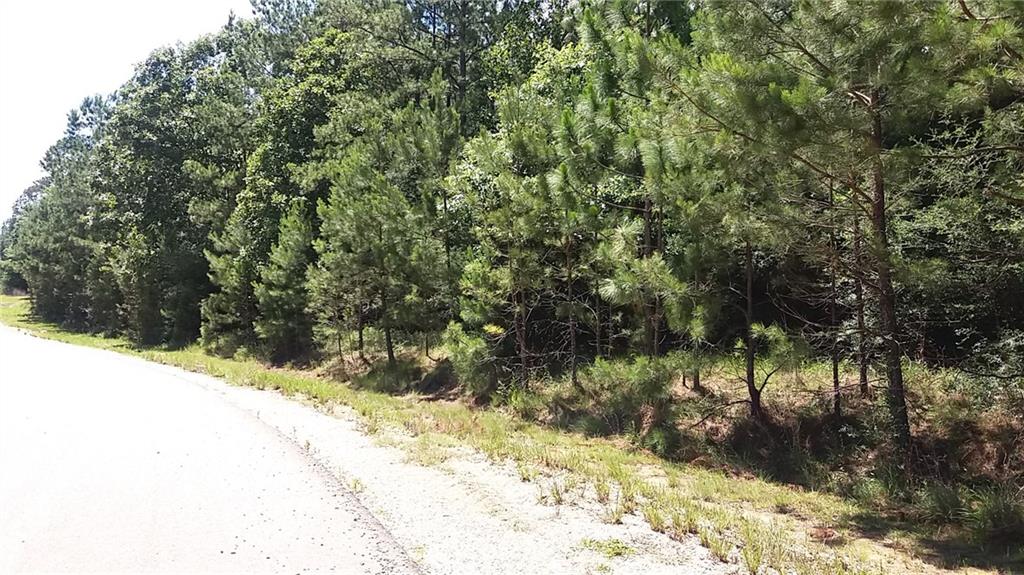 Lot 18 Providence Estates Road Amite, LA 70422 - Photo 1 of 2 Gallery Image 1