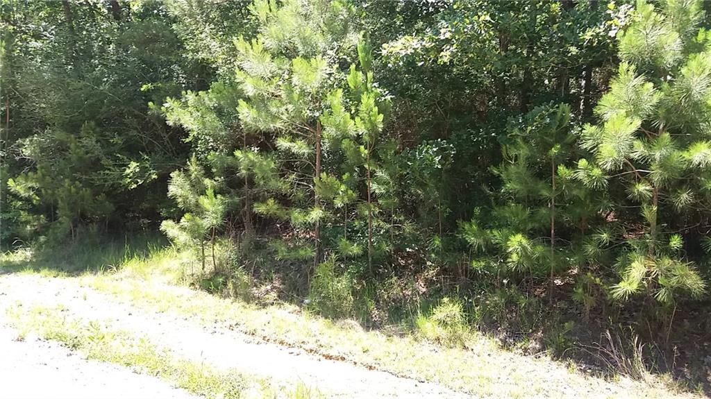 Lot 18 Providence Estates Road Amite, LA 70422 - Photo 2 of 2 Gallery Image 2