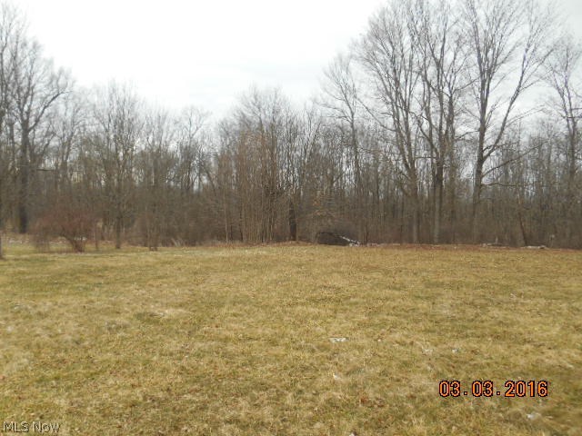 6765 State Road Wadsworth, OH 44281 - Photo 27 of 29