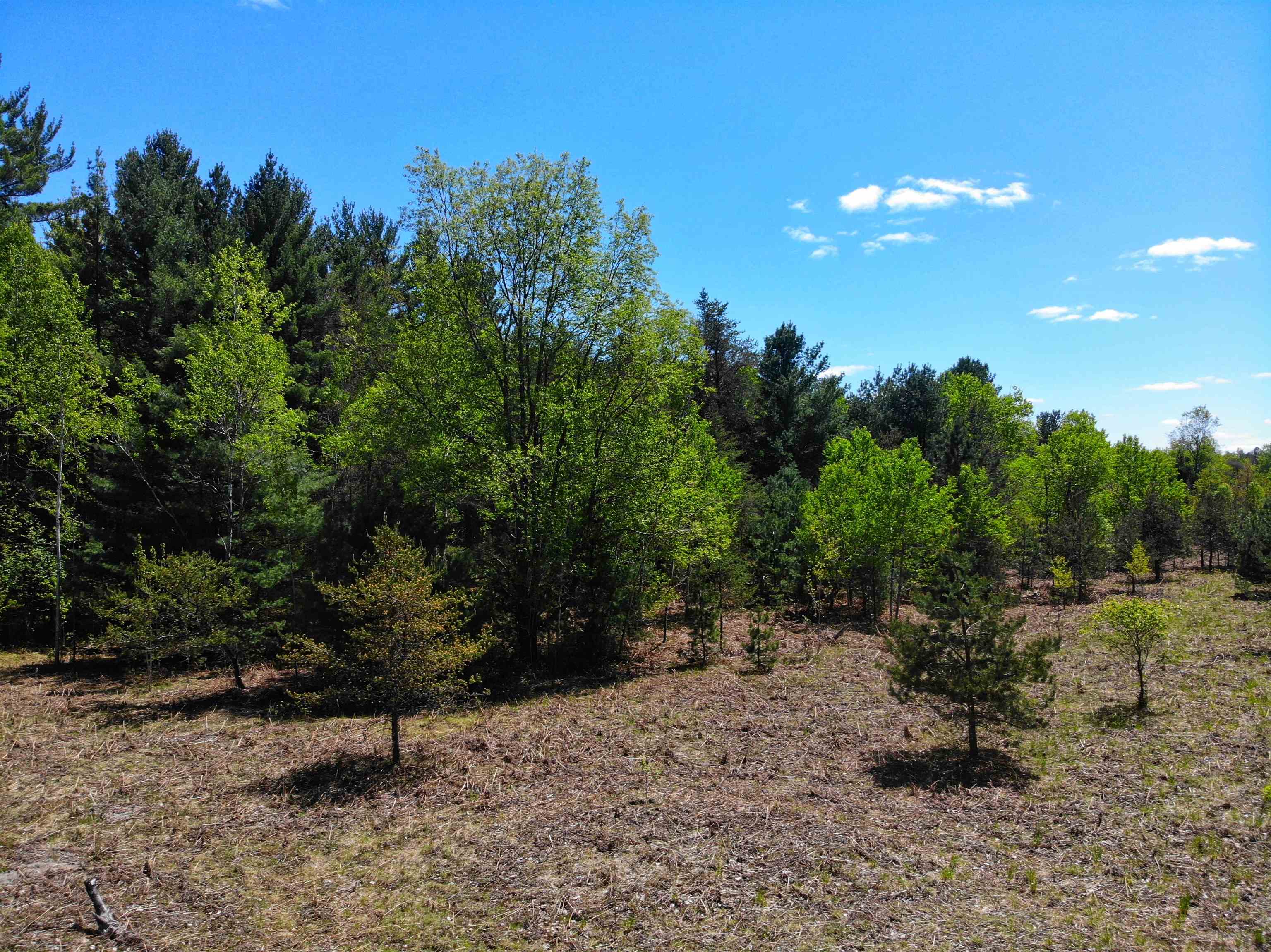 12463 Mueller Road Southwest Fife Lake, MI 49633 - Photo 89 of 92 1900135-88.JPG