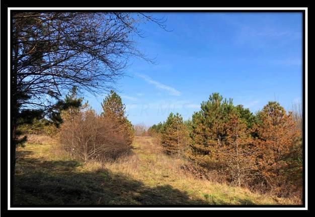 9349 Ridgeview Road Chandlersville, OH 43727 - Photo 21 of 32