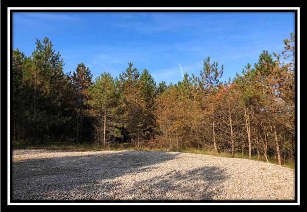 9349 Ridgeview Road Chandlersville, OH 43727 - Photo 24 of 32