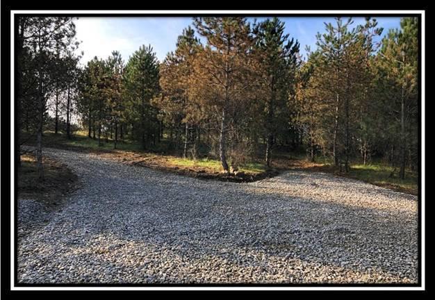9349 Ridgeview Road Chandlersville, OH 43727 - Photo 5 of 32
