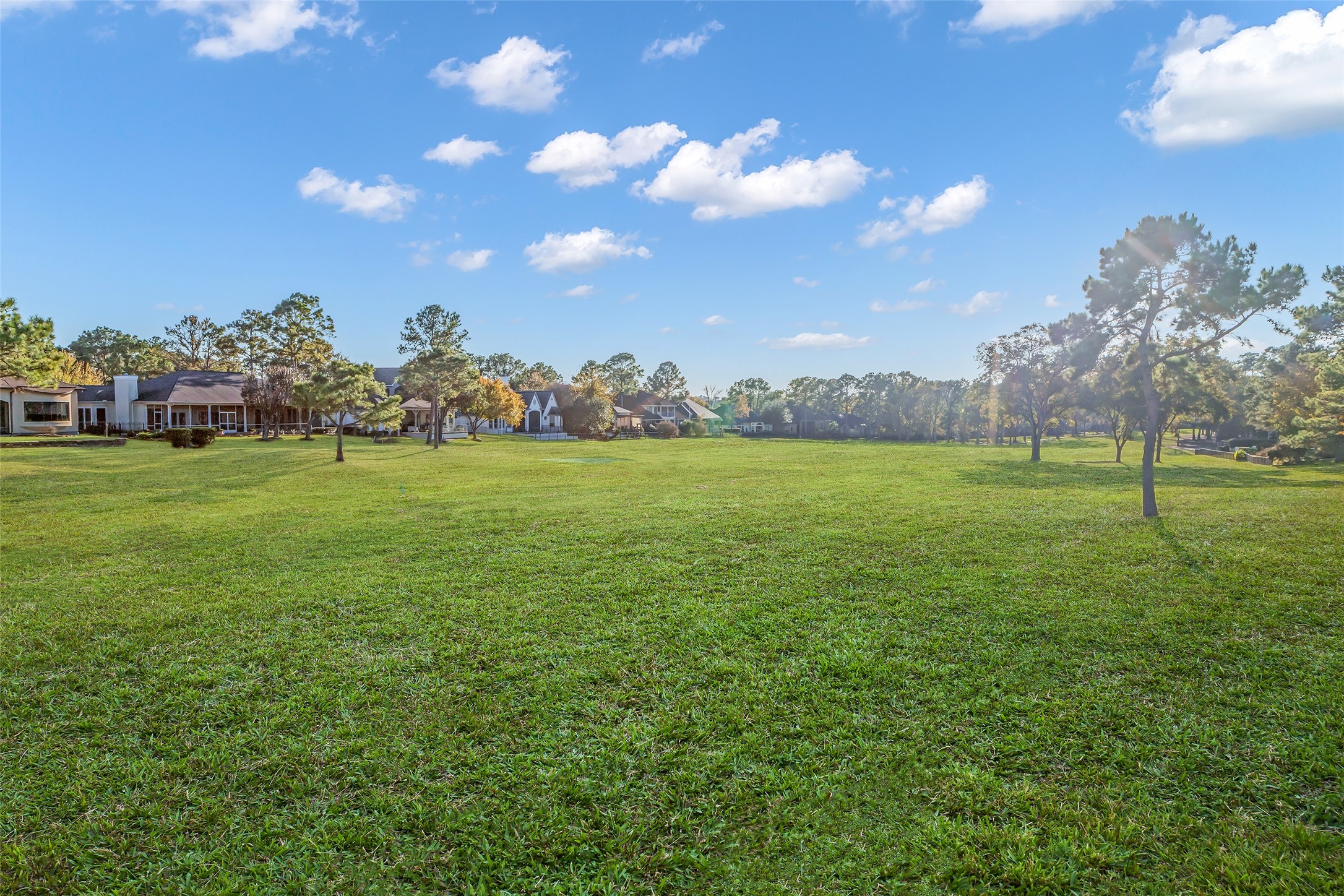 35 West Pines Drive Montgomery, TX 77356 - Photo 28 of 30 a view of a green field