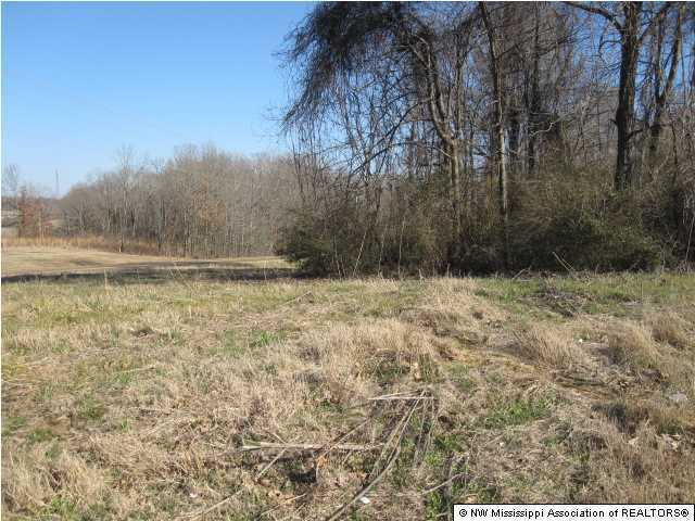 4 Berta Road Byhalia, MS 38611 - Photo 1 of 17 Primary Photo