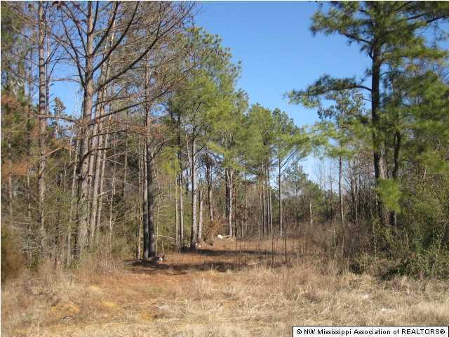 4 Berta Road Byhalia, MS 38611 - Photo 11 of 17 Additional Photo