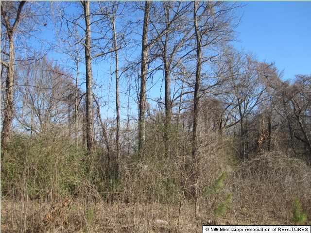 4 Berta Road Byhalia, MS 38611 - Photo 2 of 17 Additional Photo