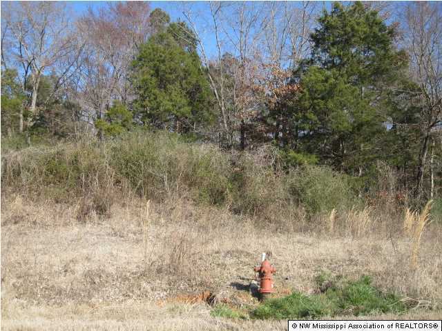 4 Berta Road Byhalia, MS 38611 - Photo 8 of 17 Additional Photo