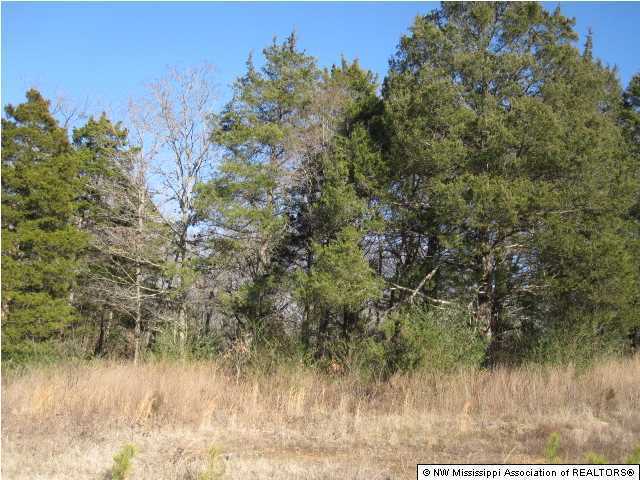 4 Berta Road Byhalia, MS 38611 - Photo 9 of 17 Additional Photo