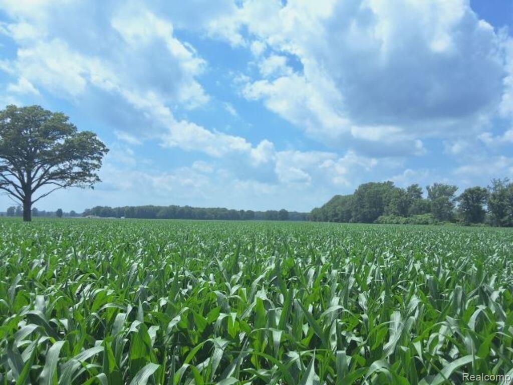Auction Lot #6 Auction Road Allenton, MI 48002 - Photo 3 of 4