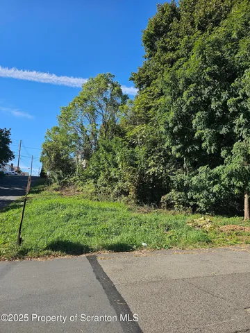 a view of a yard with a tree