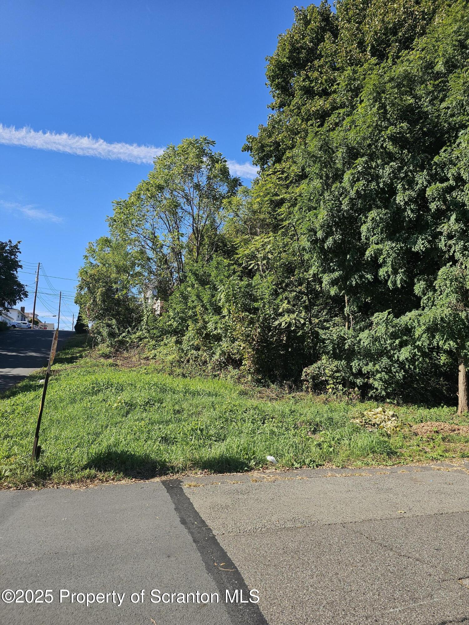 Colfax And Gibson Avenue Scranton, PA 18510 - Photo 2 of 3 a view of a yard with a tree