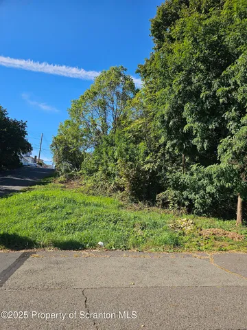 a view of backyard with green space