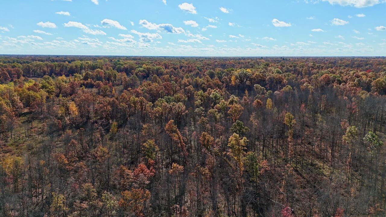 West Beamish Road Sanford, MI 48657 - Photo 6 of 27