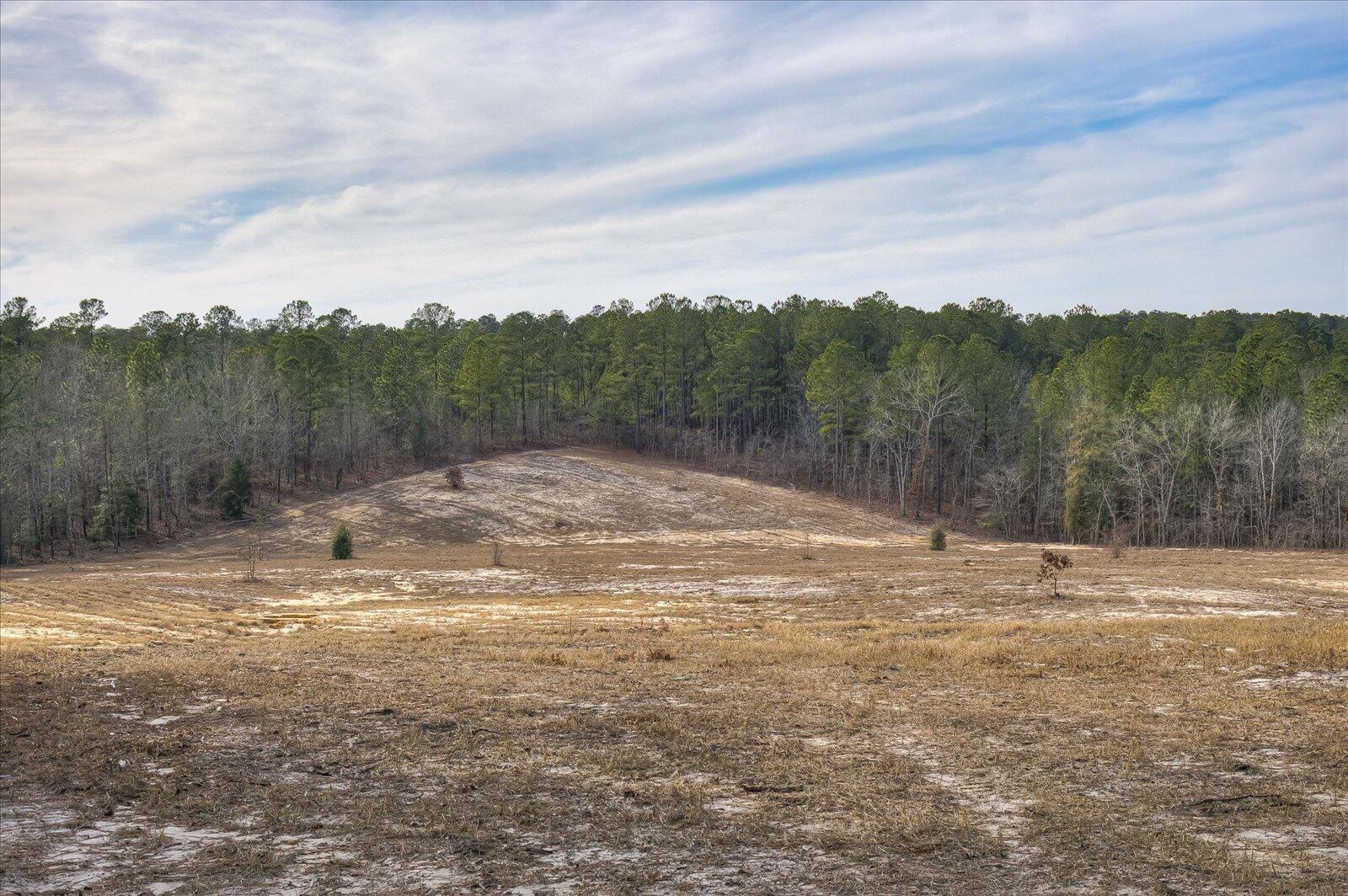 257 Biscayne Road Aiken, SC 29803 - Photo 34 of 37
