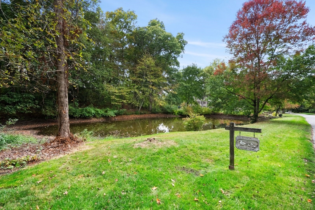 18 Phillips Pond Road, Unit 18 Natick, MA 01760 - Photo 37 of 37