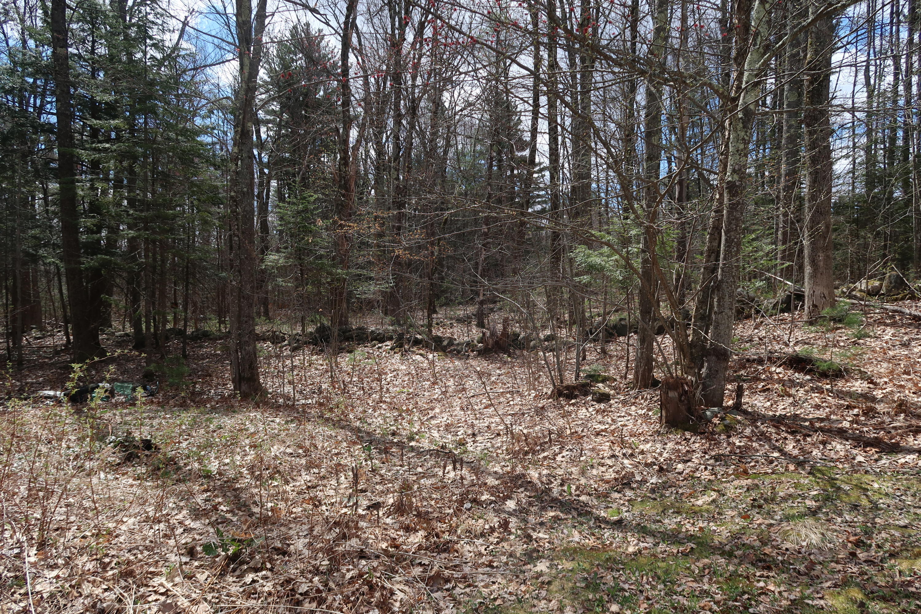 413 Gorden Road Readfield, ME 04355 - Photo 8 of 13 IMG_6129