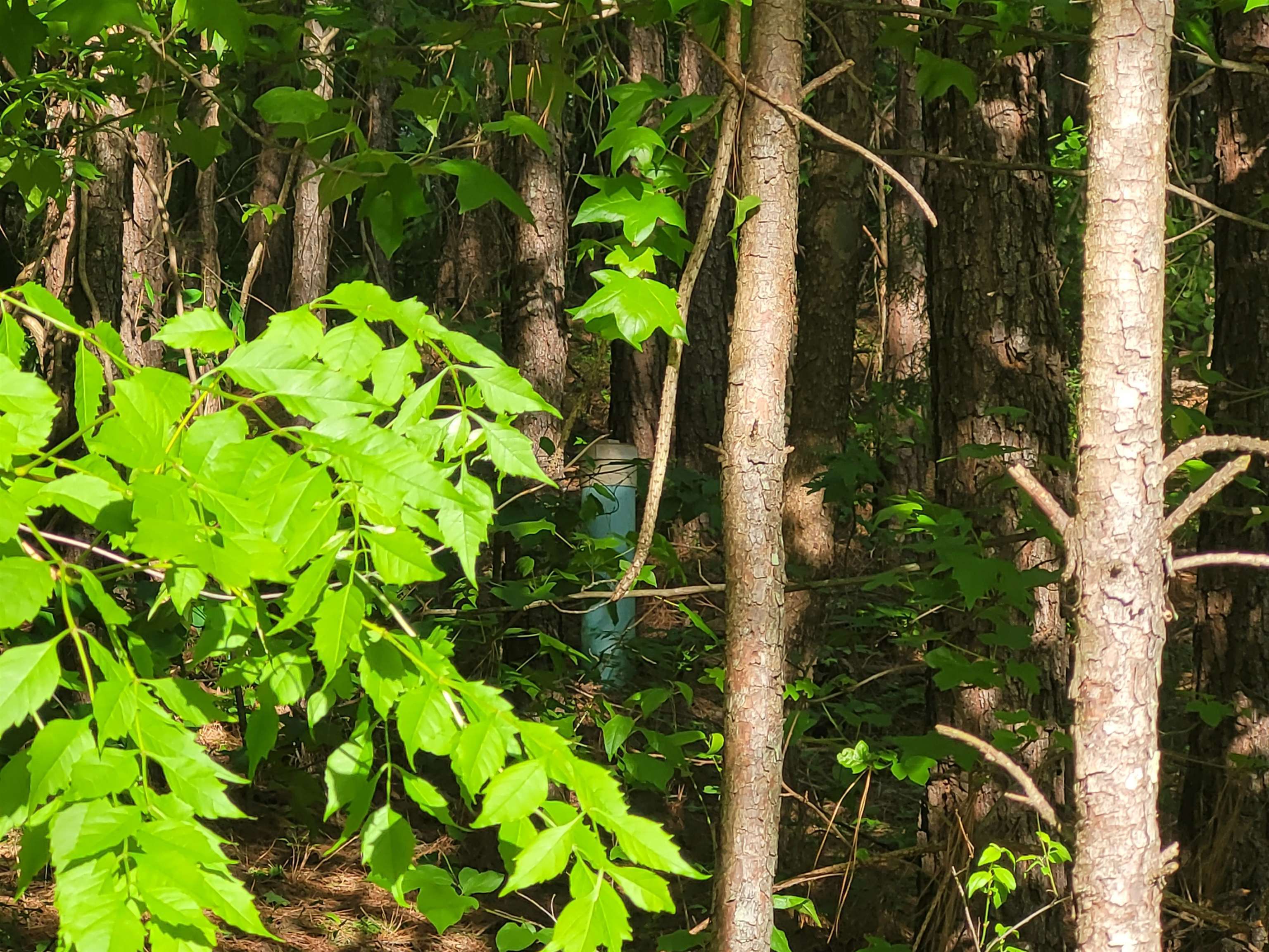 7126 Browns Mill Road Lithonia, GA 30038 - Photo 3 of 3