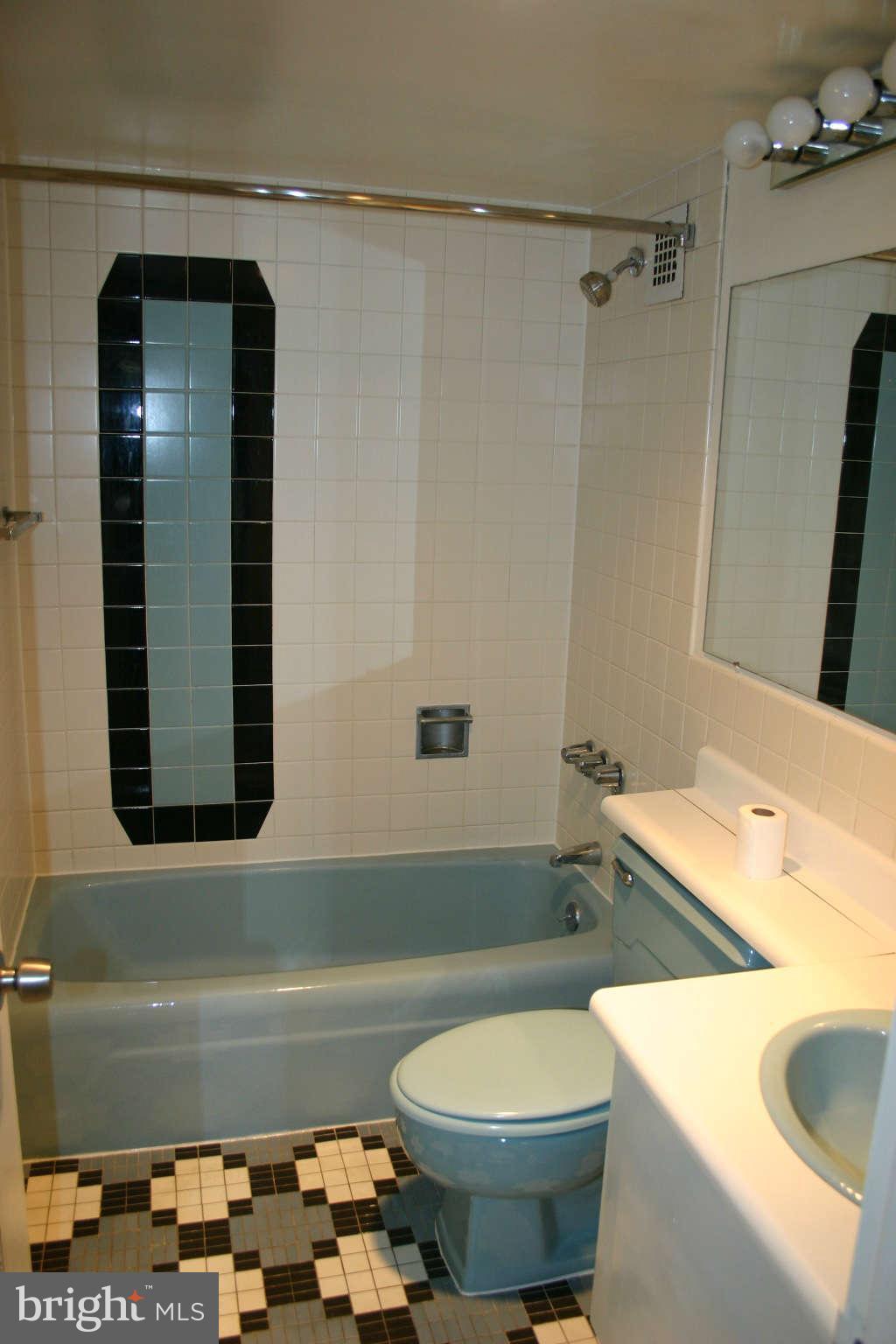 700 7th Street Southwest, Unit 423 Washington, DC 20024 - Photo 16 of 20 Bath