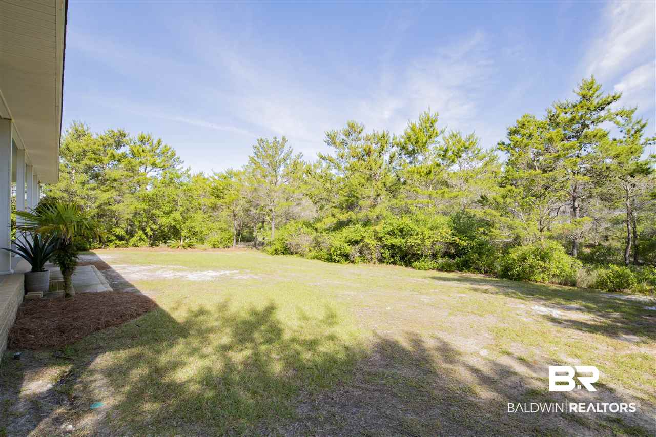 31219 River Road Orange Beach, AL 36561 - Photo 42 of 47