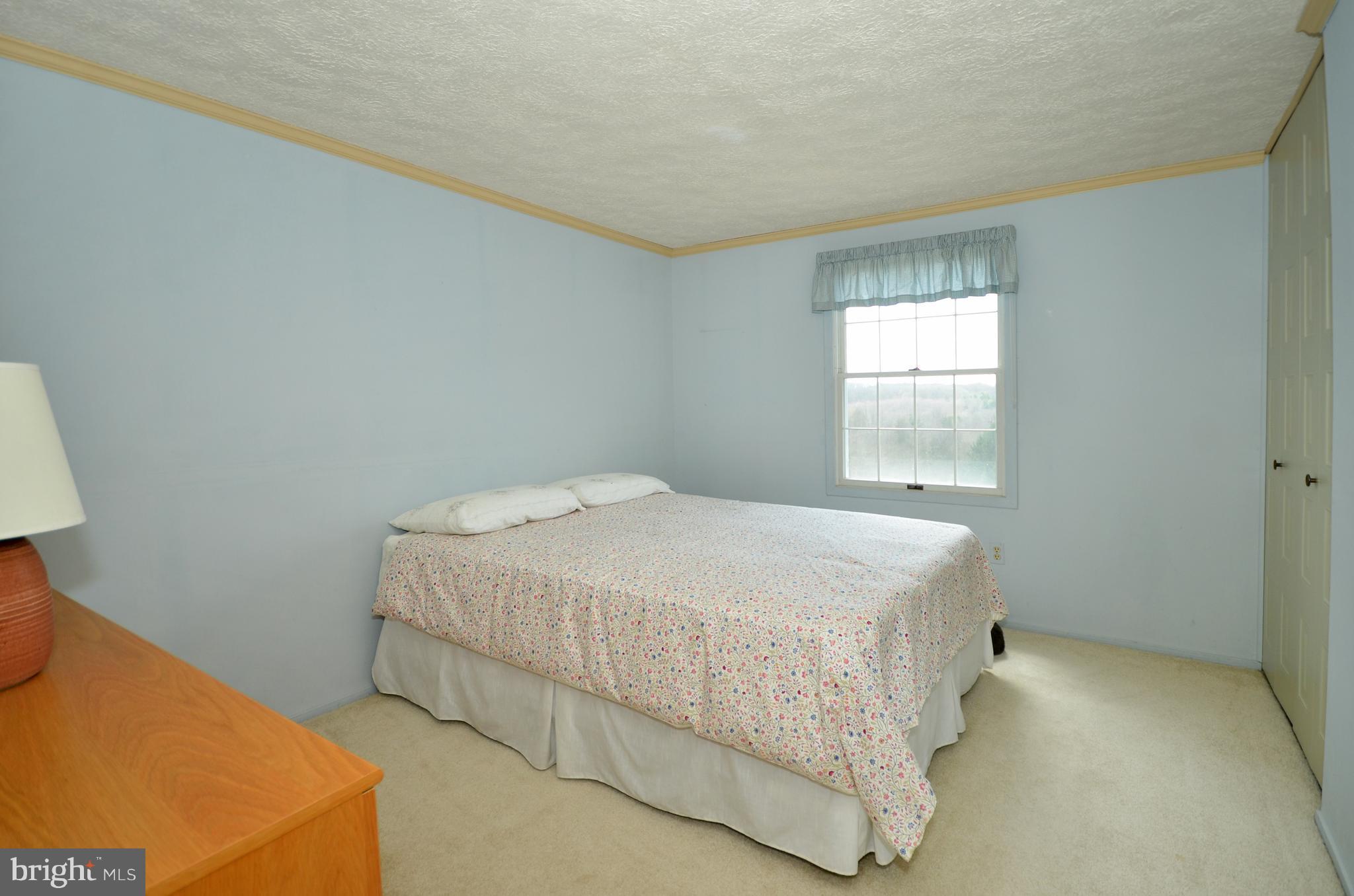 2905 Anderson Road White Hall, MD 21161 - Photo 21 of 26 Bedroom #1 with crown molding and large closet