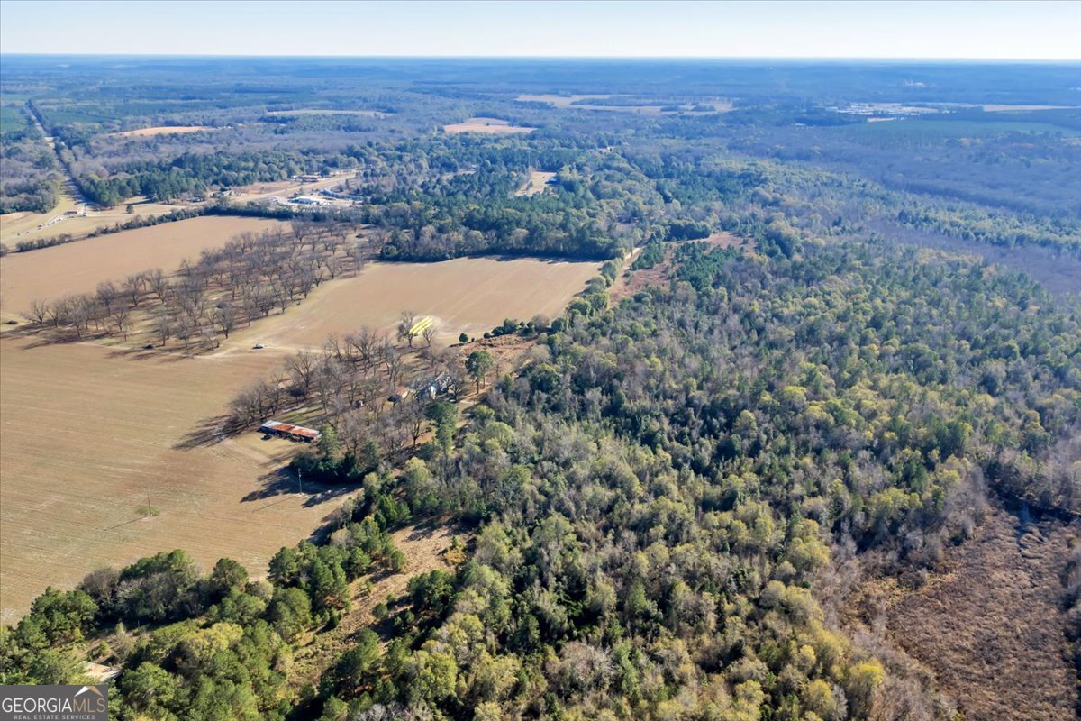 0 Sandbed Road Kathleen, GA 31047 - Photo 13 of 68