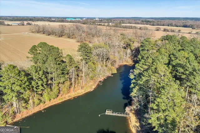a view of a lake with a mountain and trees