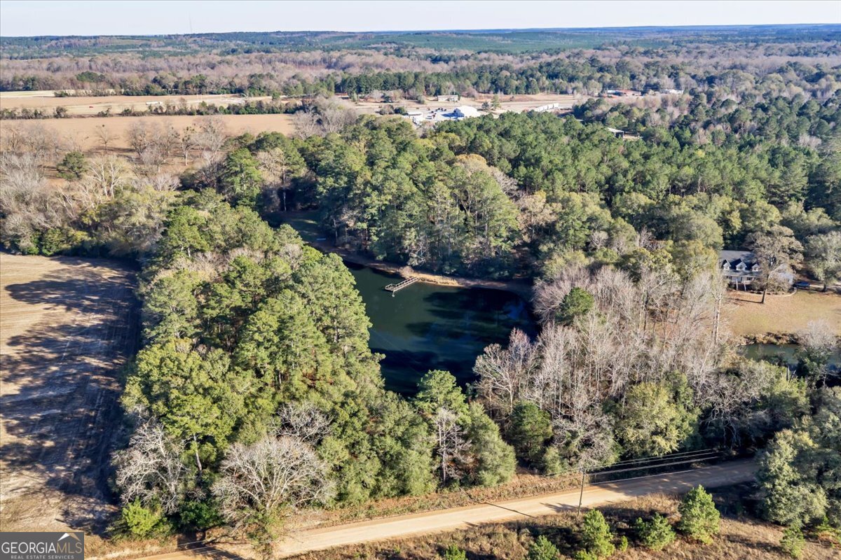0 Sandbed Road Kathleen, GA 31047 - Photo 48 of 68 a view of a lake with a mountain and trees
