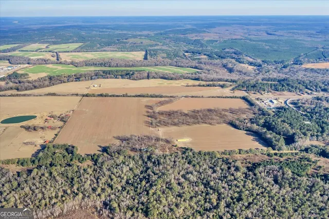 a front view of a house with a large trees