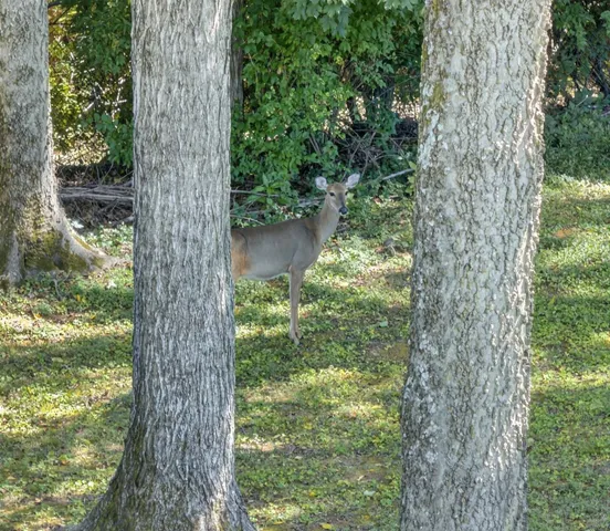 $775,000 | 5416 Wakefield Drive, Nashville, TN 37027