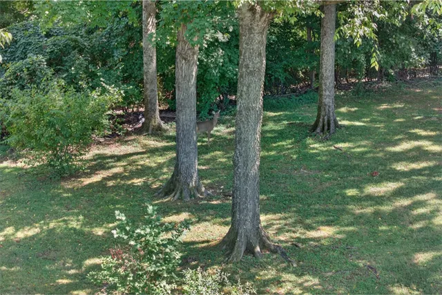 $775,000 | 5416 Wakefield Drive, Nashville, TN 37027