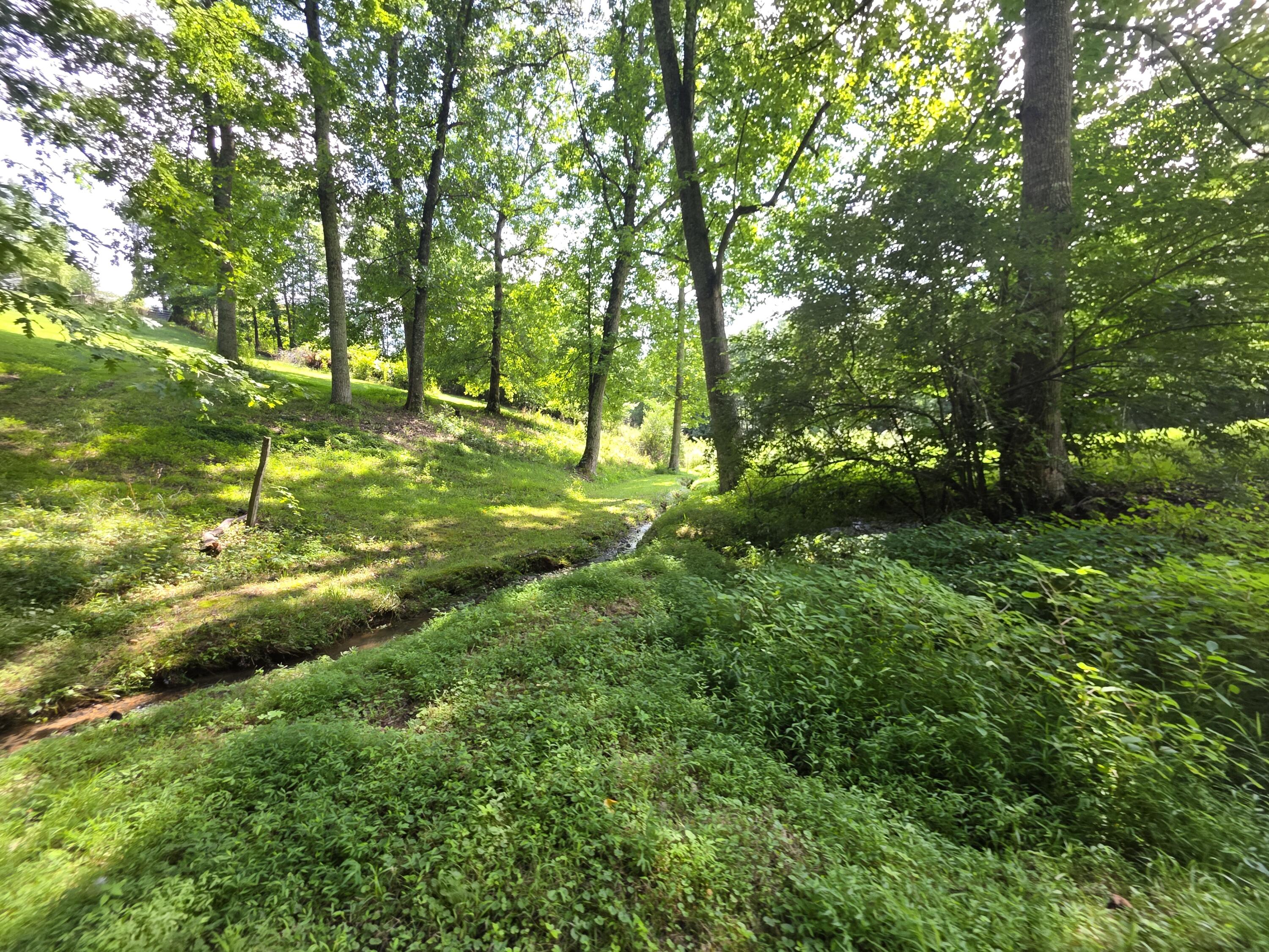 91 Blakley Subdivision Road London, KY 40741 - Photo 14 of 37 20260708_154316
