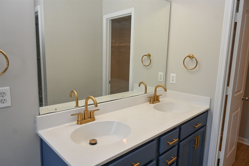 4447 Walking Stick Way Columbus, GA 31907 - Photo 23 of 26 a bathroom with a sink and a mirror