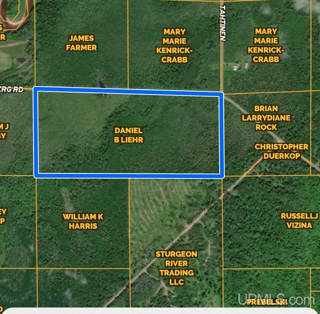 Tbd Froberg Road Baraga, MI 49908 - Photo 7 of 8