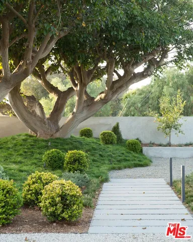 a view of a garden with plants and large trees