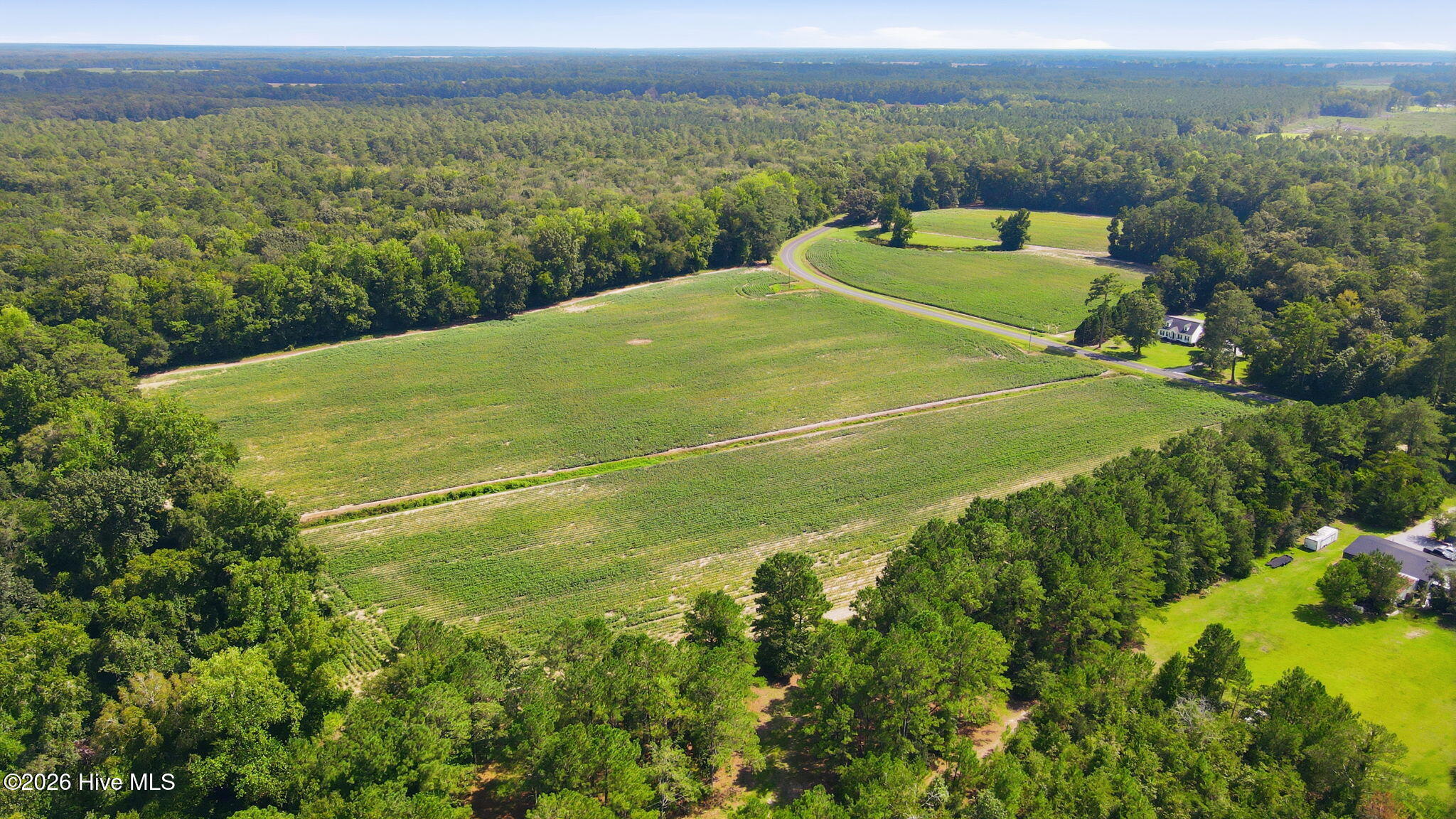315 Heath Road Trenton, NC 28585 - Photo 24 of 31 Gallery Image 24
