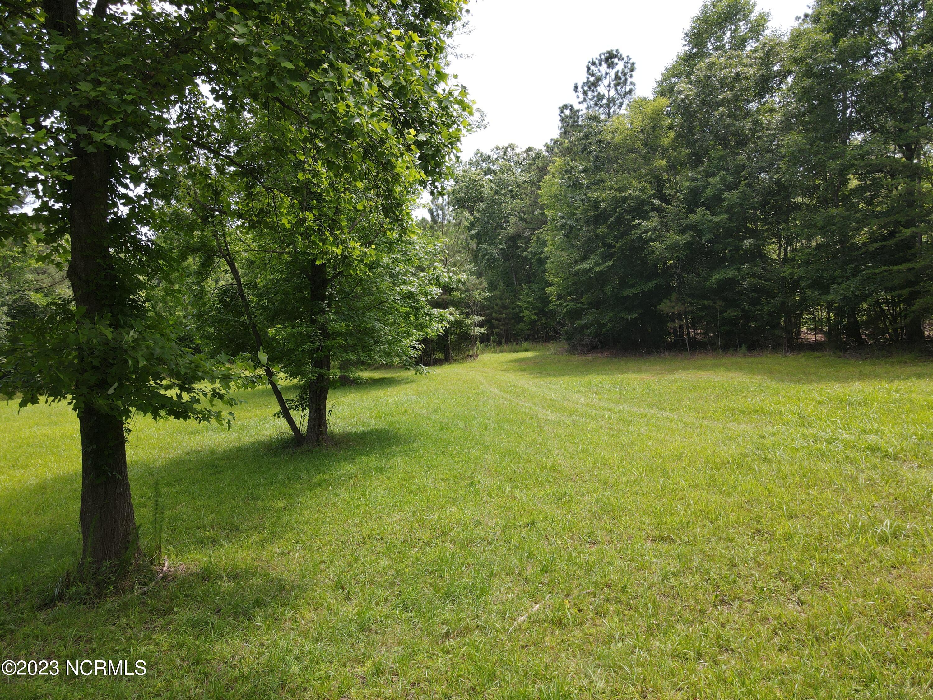 472 Eaton Ferry Road Littleton, NC 27850 - Photo 58 of 86 EFR 42