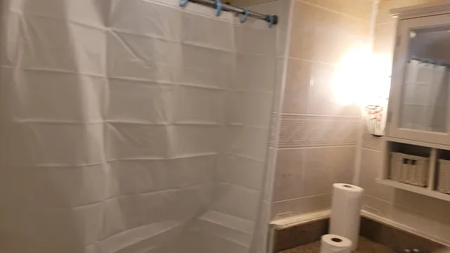 a bathroom with a shower and toilet
