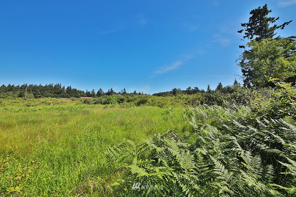 2890 Hunt Road Oak Harbor, WA 98277 - Photo 20 of 23 Gallery Image 20